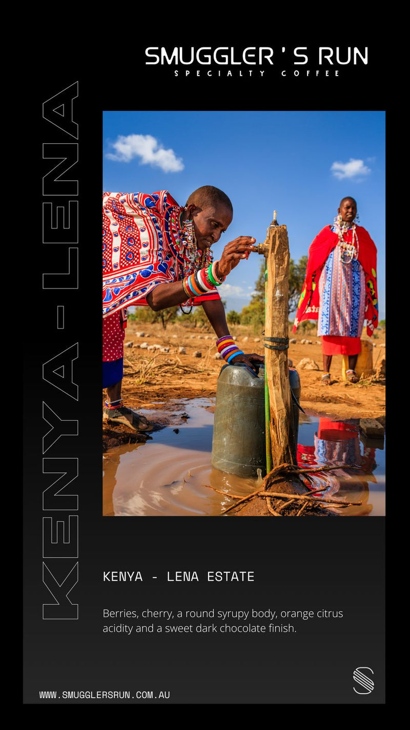 Kenya Lena Estate tasting card with brewing notes (1 of 2)